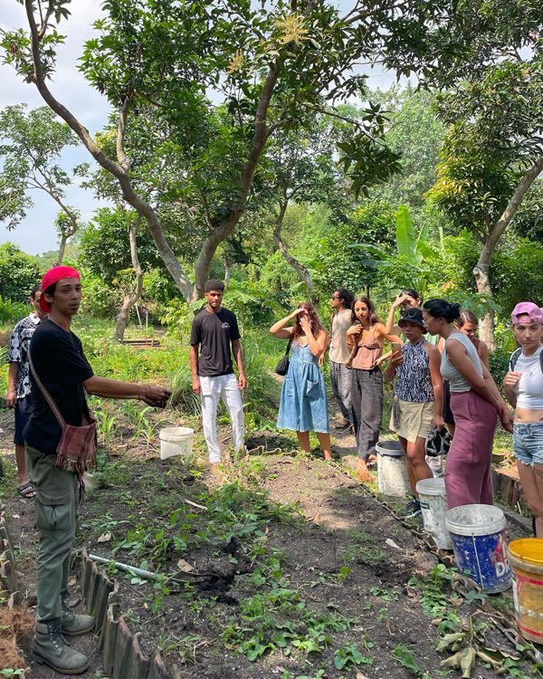 A group gathered outdoors in a garden, listening to a guide